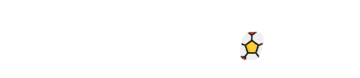 bongda vietnam