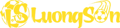 bongda vietnam