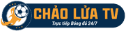 bongda vietnam